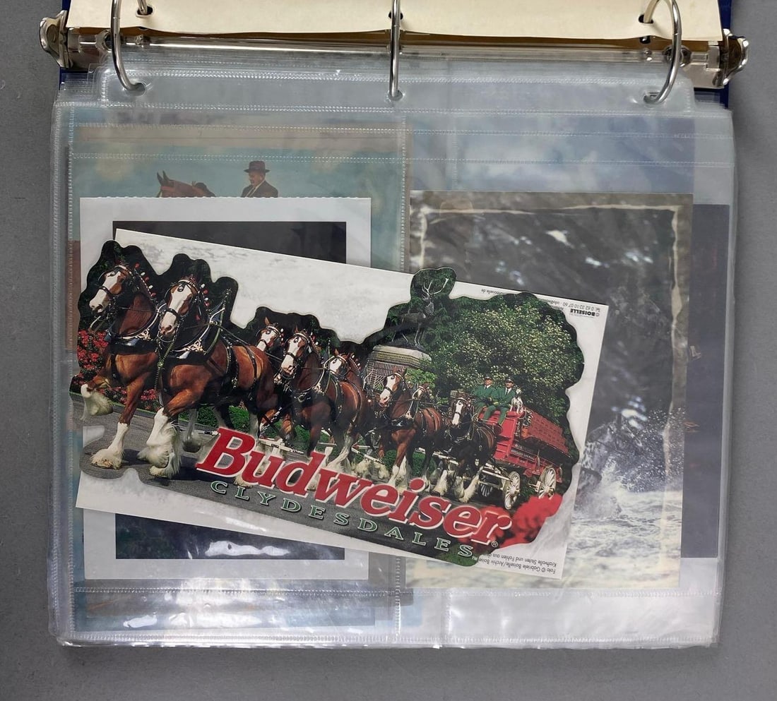 Postcards - 50+ Horse: In-House Shipping Option: If you would like to use our in-house shipping service, please select “Arrange My Own Shipping” when paying your invoice. After payment, our in-house shipping team wi