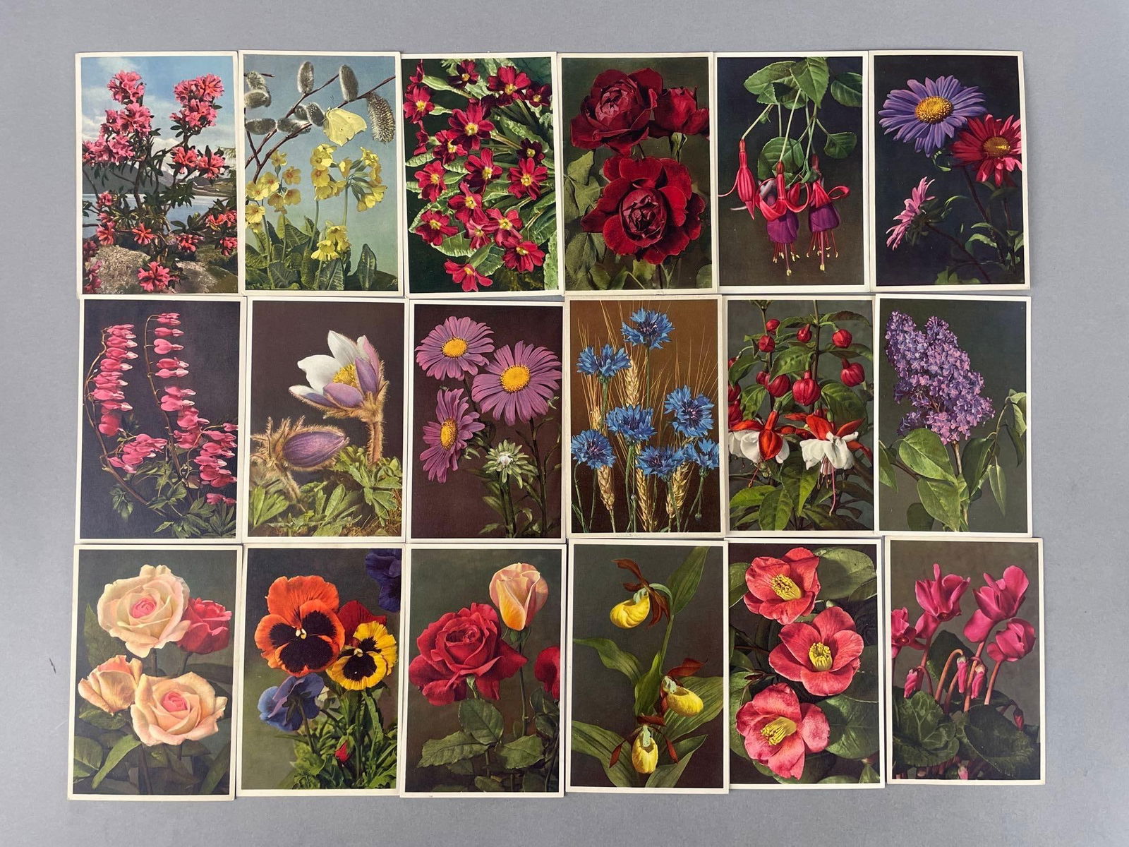 Postcards - 130+ Flower - 3