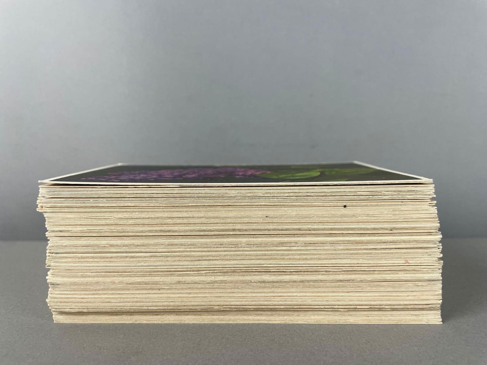 Postcards - 130+ Flower - 4