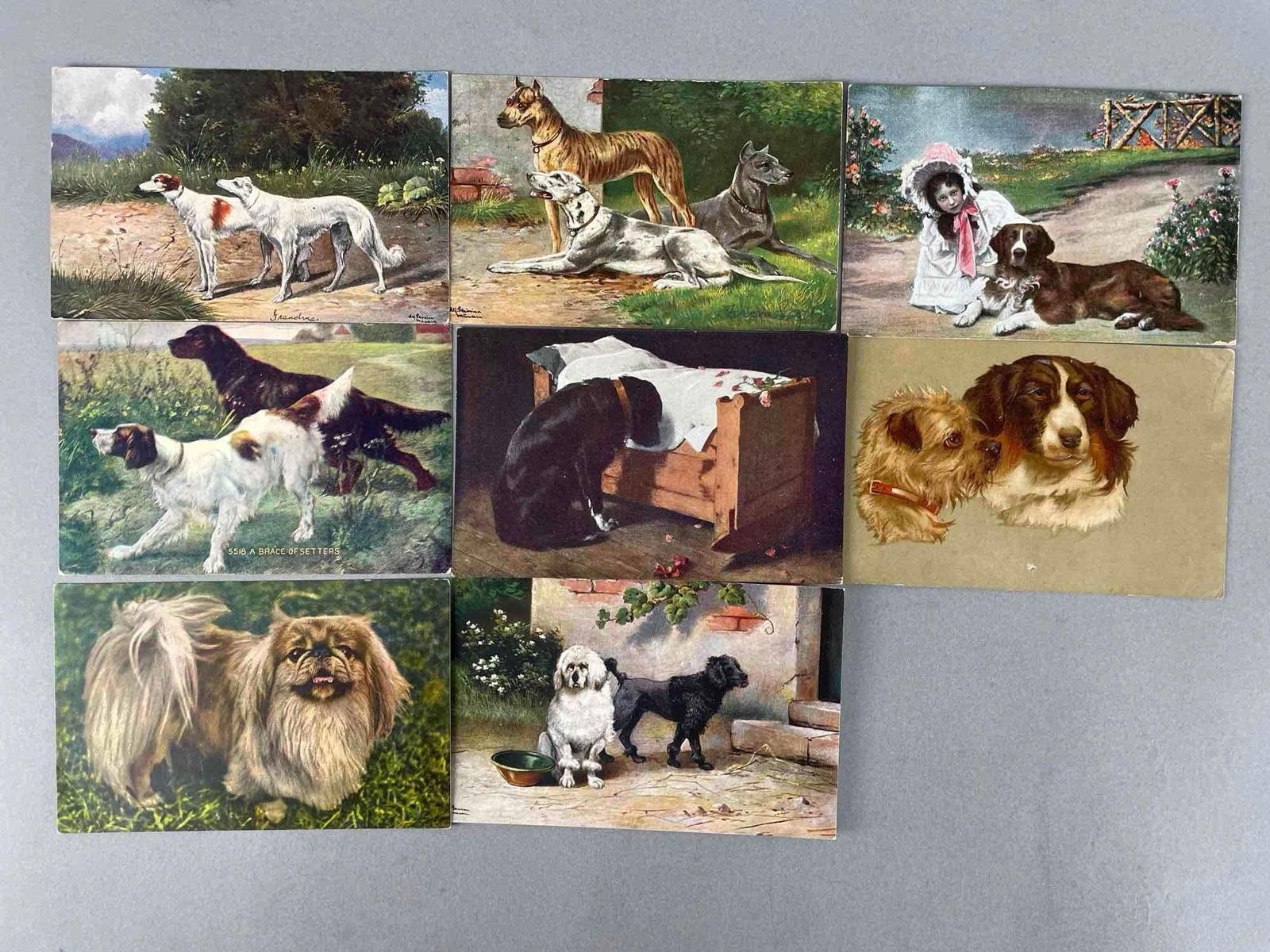 Postcards - 19 Dog - 5