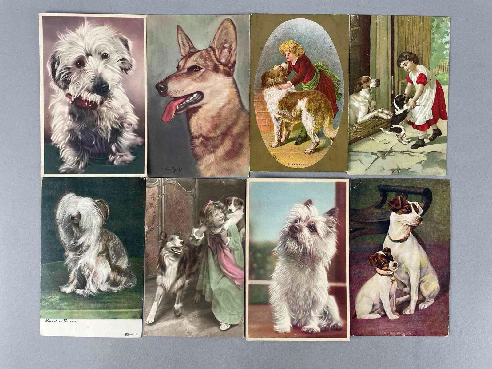 Postcards - 19 Dog - 6