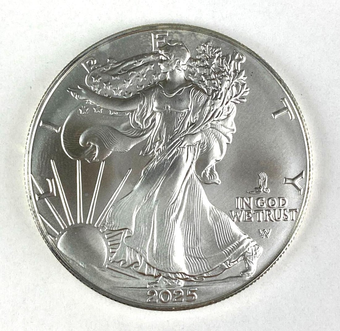2025 US $1 American Silver Eagle 1 oz .999 Fine Silver Coin (1 of 2)