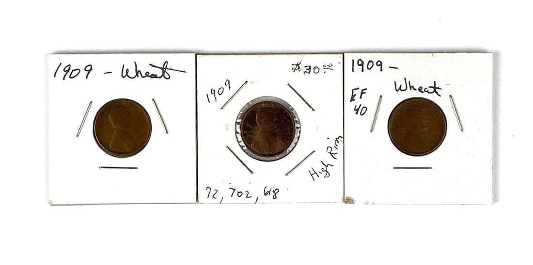 Group of 3 1909 US Lincoln Wheat Cents (1 of 2)