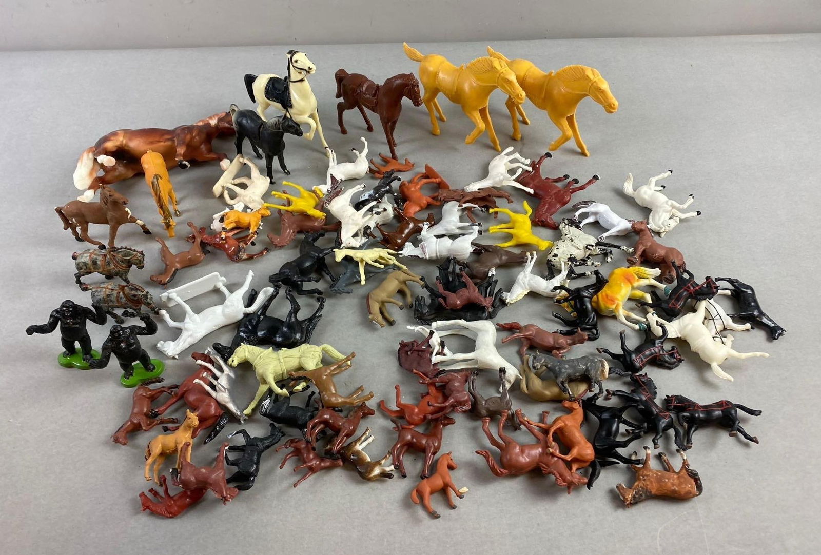 Group of Assorted Miniature Horses and More (1 of 3)