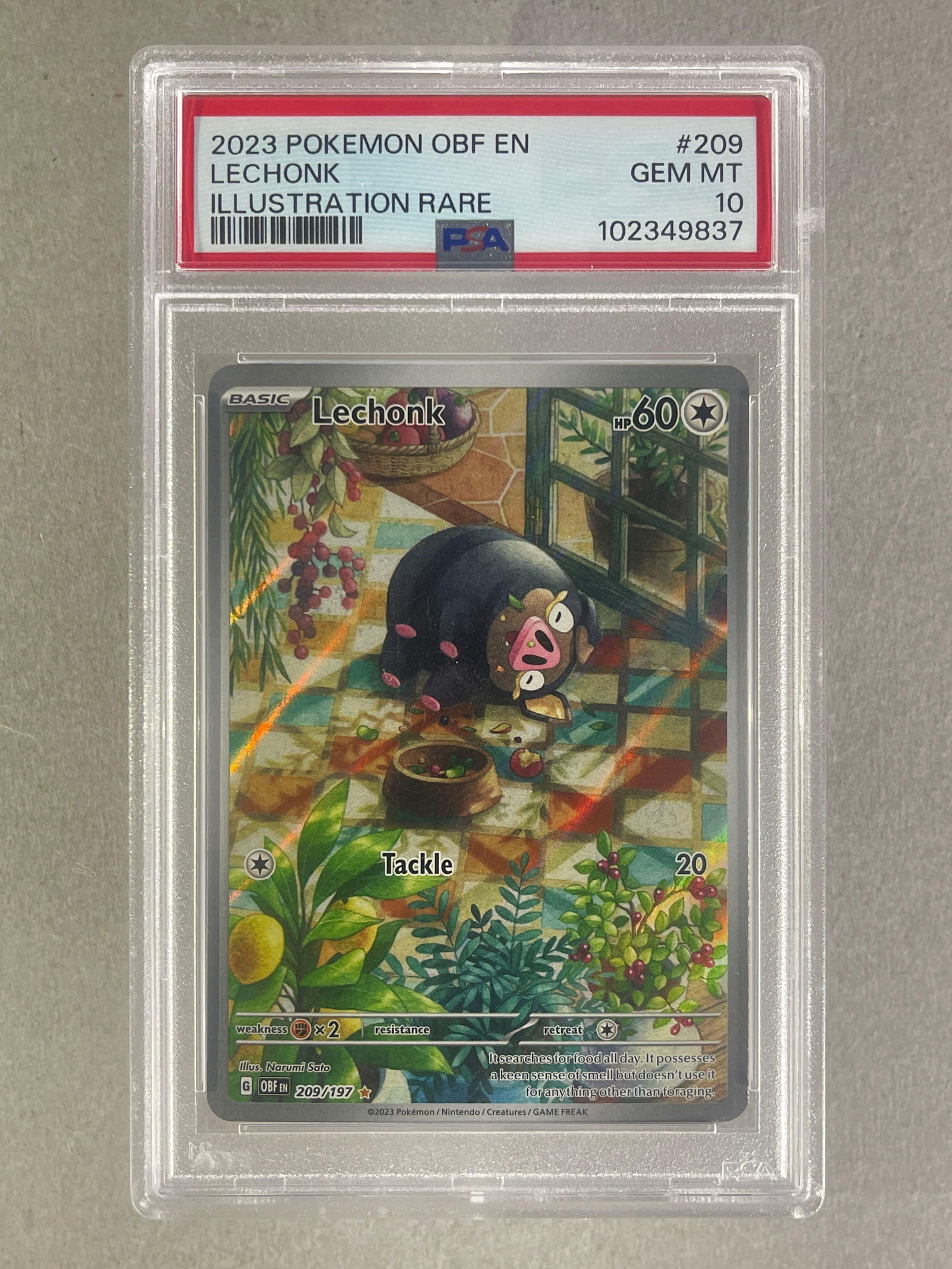 2023 Pokemon OBF illustrations Rare Lechonk #209 PSA 10: 2023 Pokemon OBF illustrations Rare Lechonk #209 PSA 10