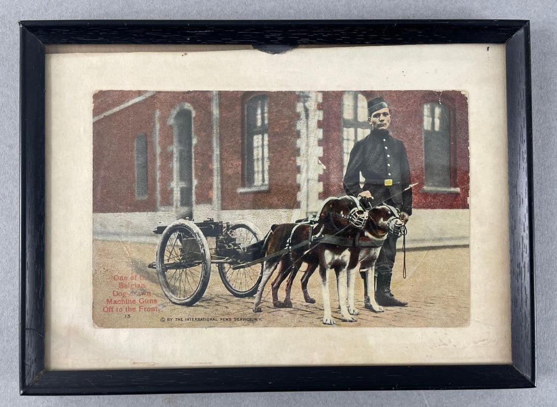 Belgian Dog Drawn Machine Gun Postcard: Frame measures 5 1/4" x 7 1/4"