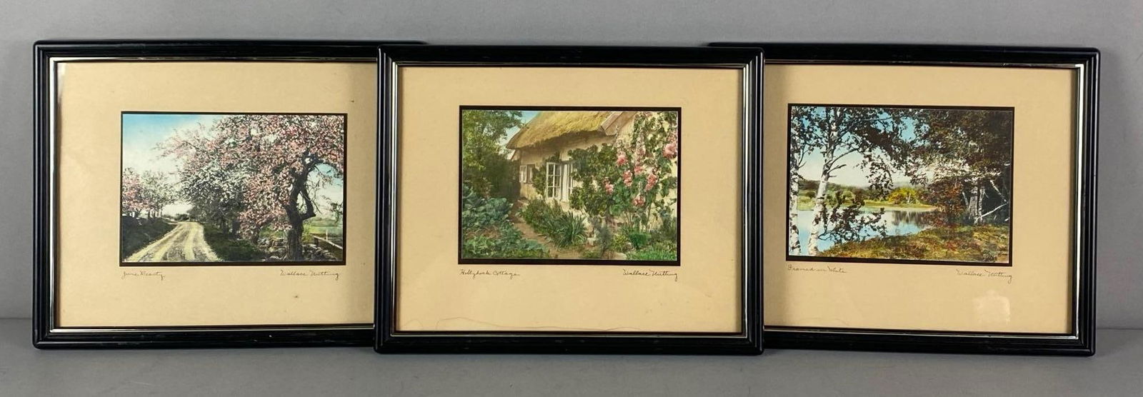 Group of 3 Vintage Signed Wallace Nutting Hand Colored Photographs (1 of 3)