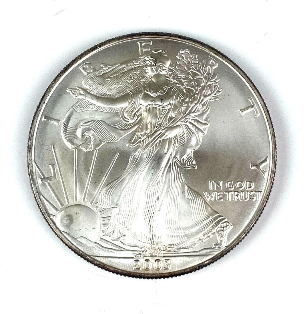 2003 US Mint Silver American Eagle 1 oz .999 Fine Silver (1 of 2)