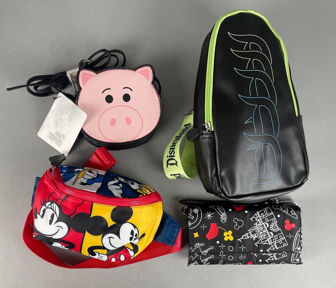 Group of Disney Bags: Includes Disney parks wallet, largest measures 12" x 7" x 3"
