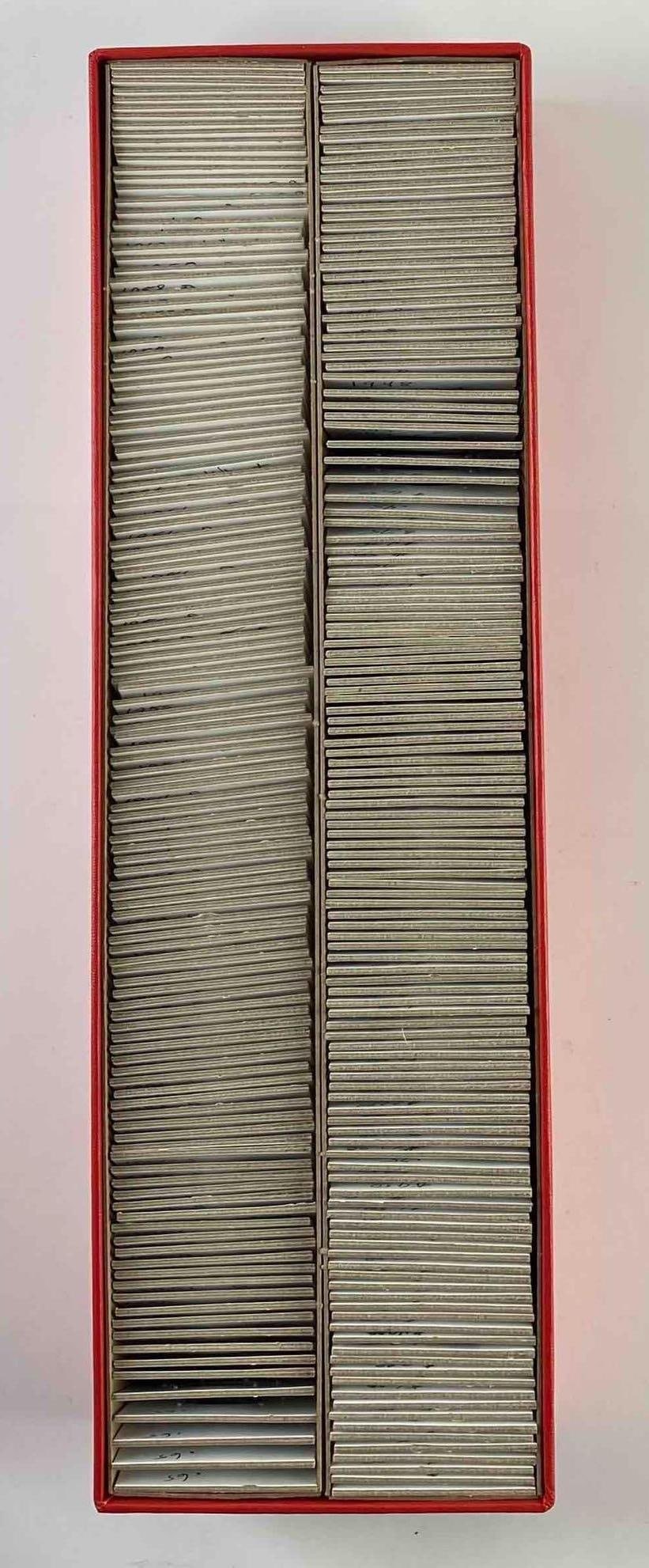 Group of 200 + US Lincoln Wheat Pennies: Include 1941, 1943 steel Pennies, and more.