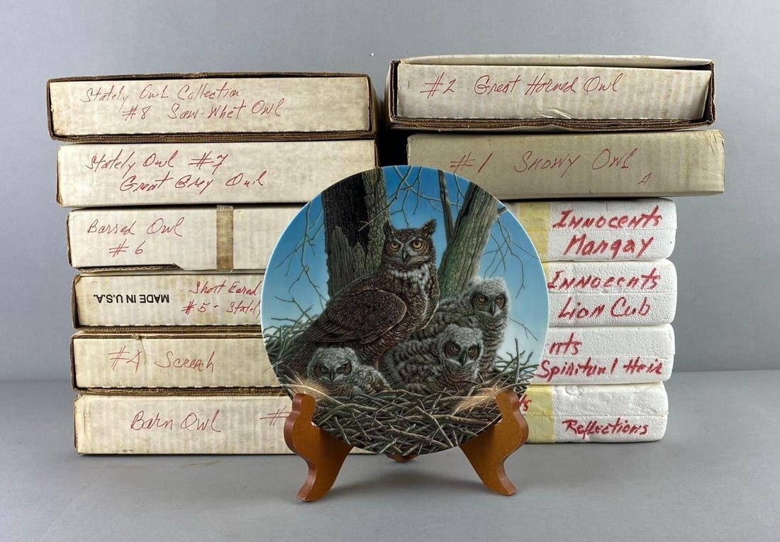 Group of 12 The Bradford Exchange Stately Owl Collection Plates: Includes Saw Whet Owl, Great Gray Owl, and more. Like new in original packaging. One plate measures 7 1/2” in diameter. Plate stand not included.