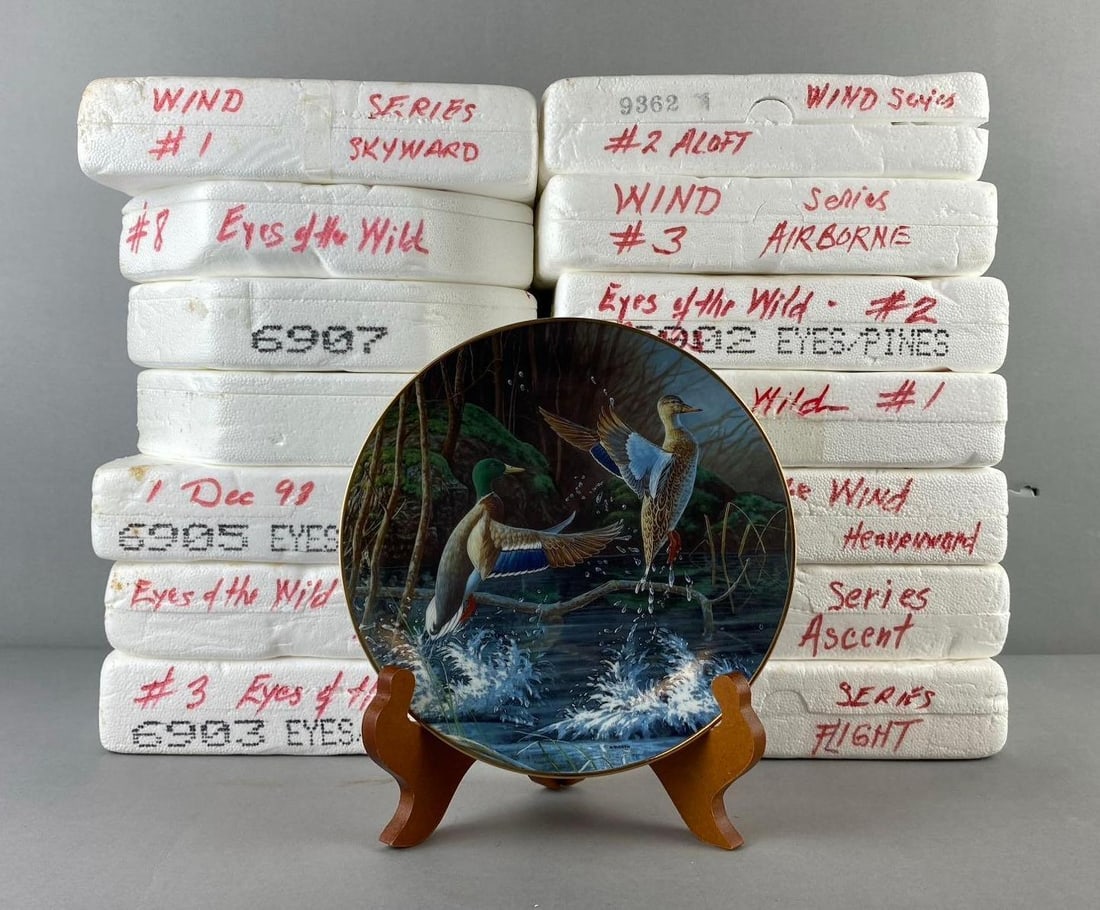 Group of 14 The Bradford Exchange Eyes of the Wild Plates and More: Group of 14 The Bradford Exchange Eyes of the Wild Plates and More. One plate measure 7 1/2” in diameter. Stand not included.