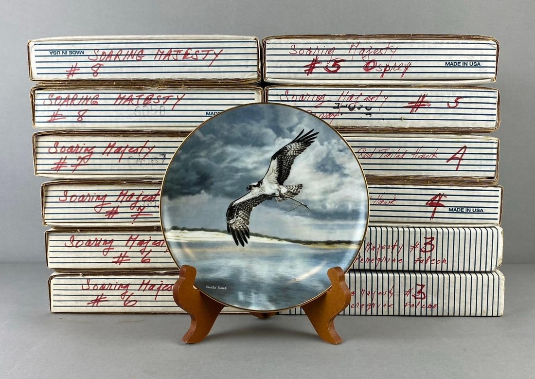 Group of 12 The Bradford Exchange Soaring Majesty Plates and More: Group of 12 The Bradford Exchange Soaring Majesty Plates and More one plate measure 7 1/2” in diameter. Stand not included.