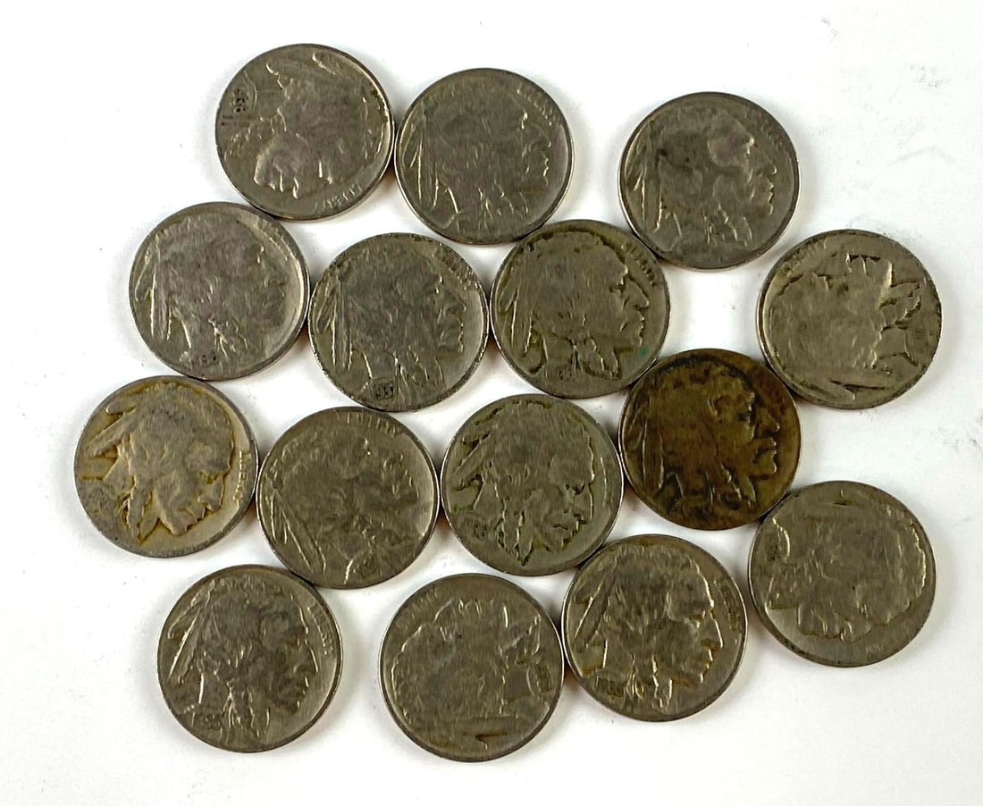 Group of 15 US Buffalo Nickels (1 of 1)
