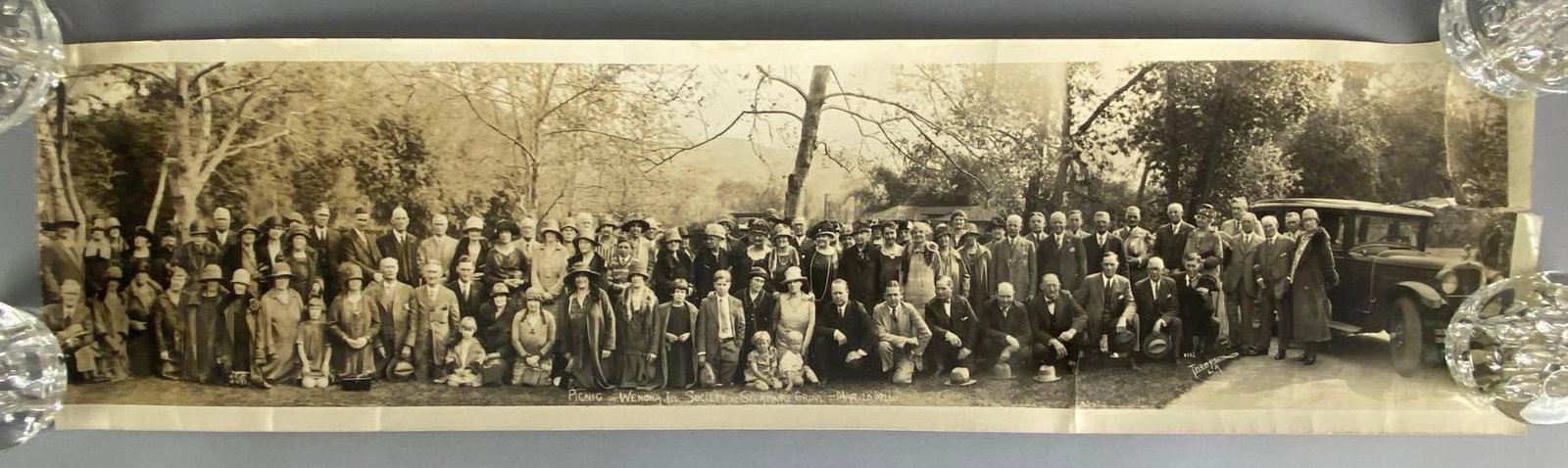 1926 Wenona IL Sycamore Grove Picnic Panoramic Photograph (1 of 5)