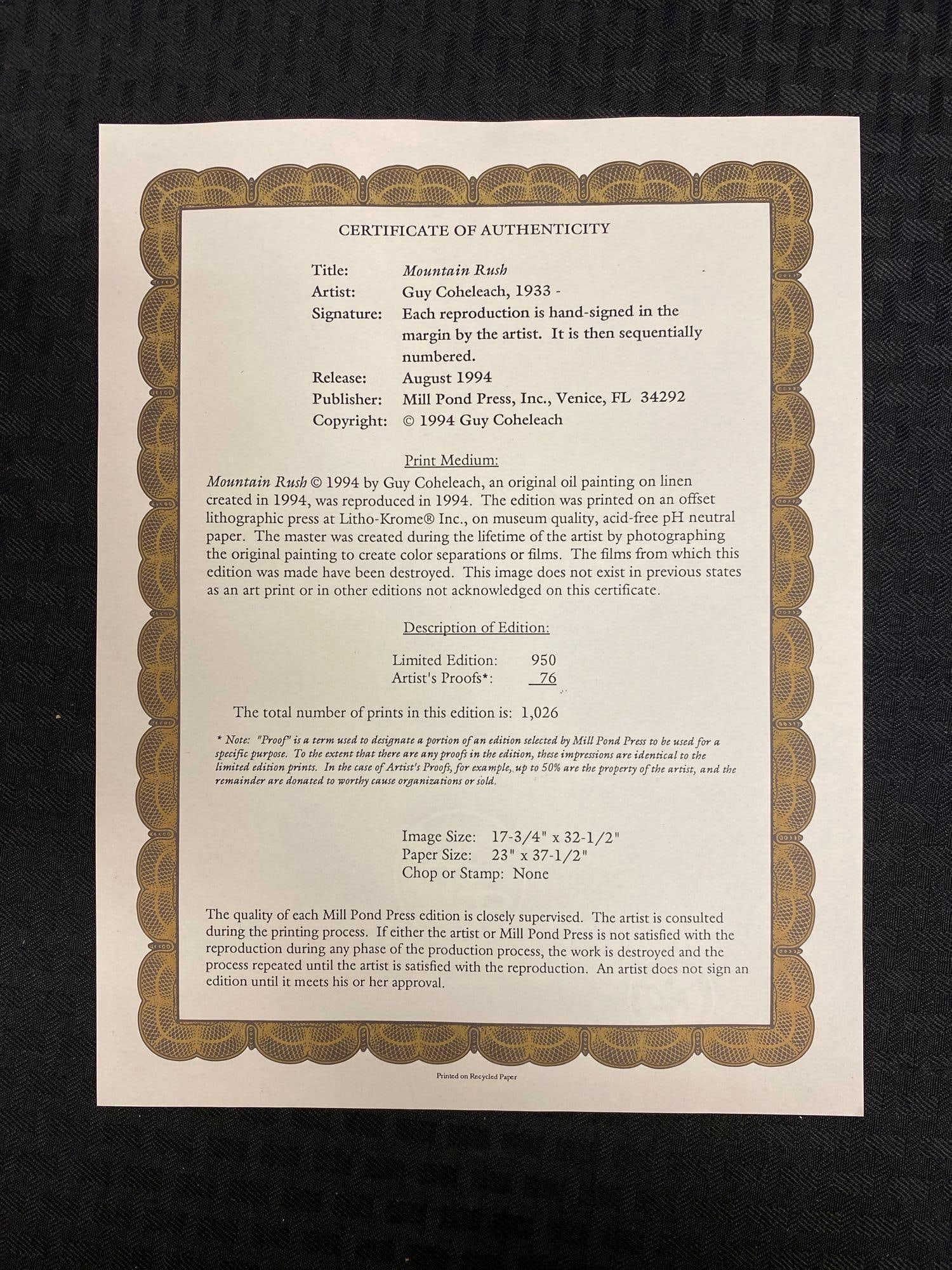 1994 Signed Mountain Rush Framed Print - 4