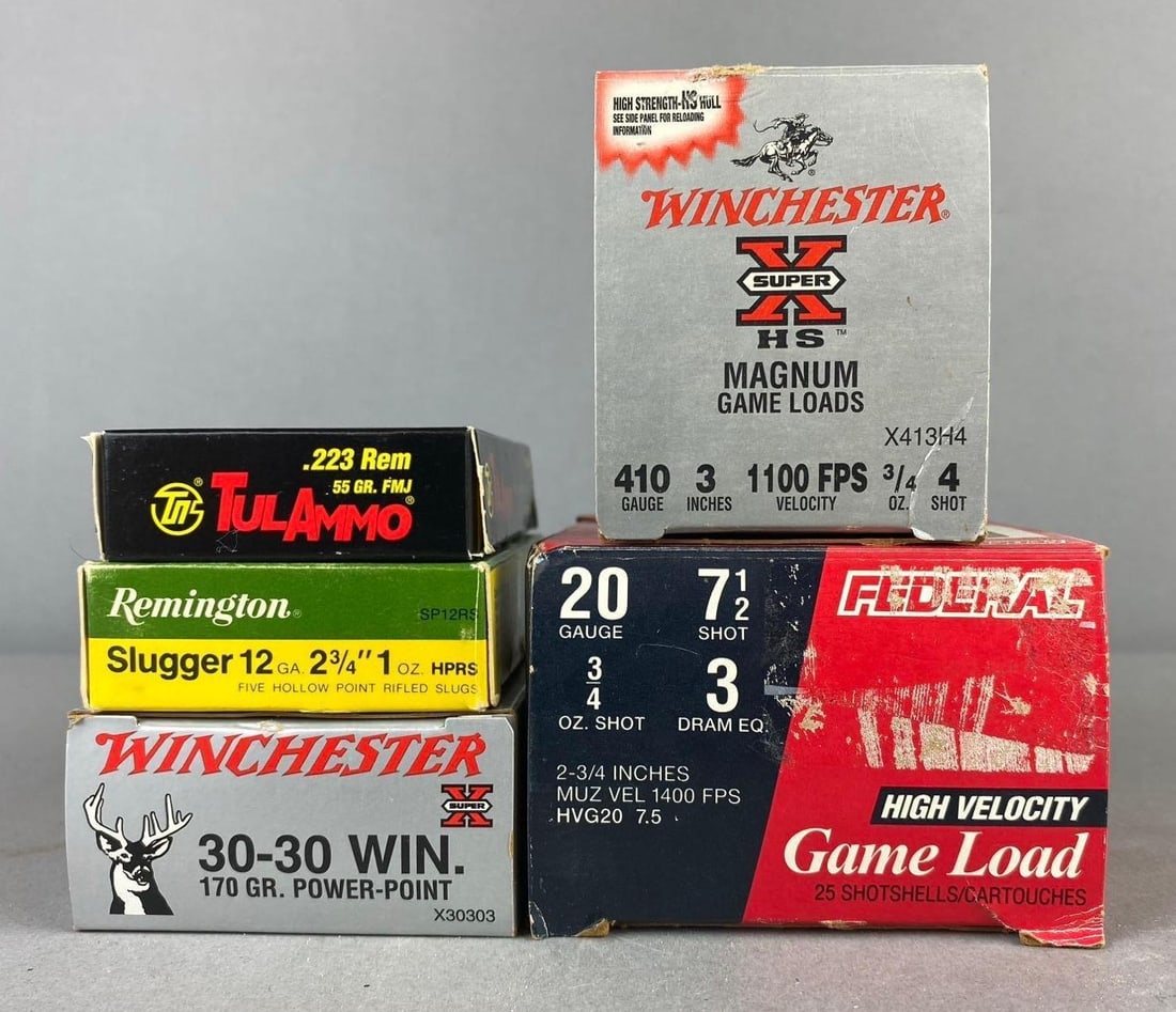 Group of Assorted Ammunition (1 of 3)