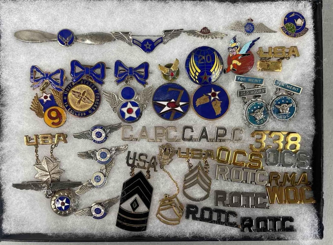 Group of U.S. Military Pins and Insignia (1 of 3)