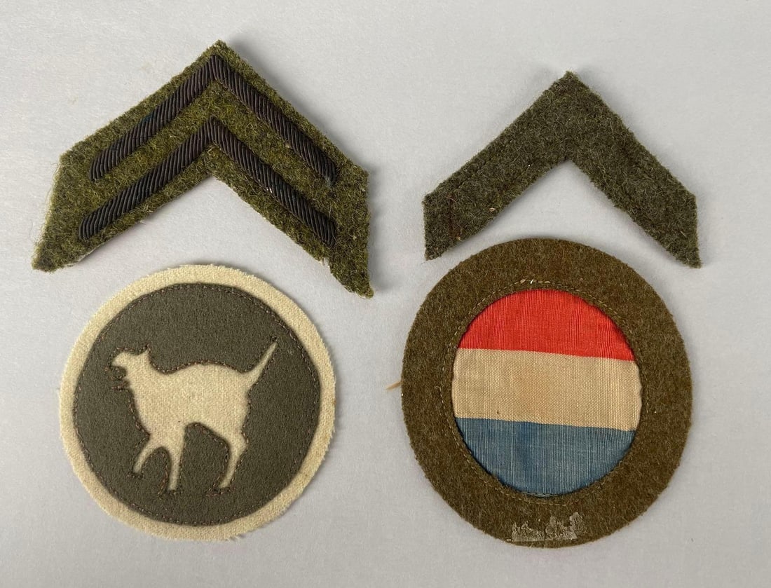 Group of WW1 U.S. Army Patches: Includes chevrons, 81st infantry wildcat division