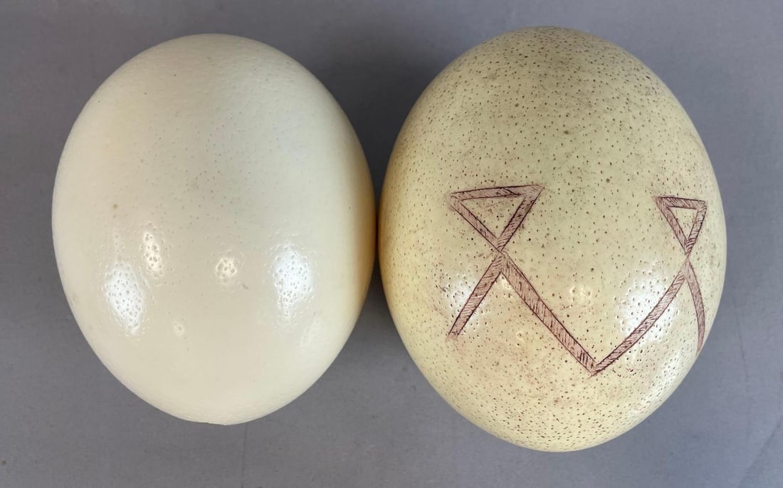 Group of 2 Lacquered Ostrich Eggs: Largest measures 7" x 5"