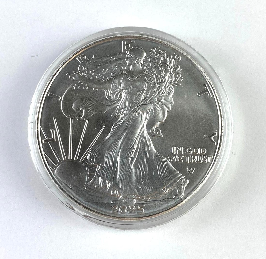 2025 W US 1 Oz American Silver Eagle (1 of 2)
