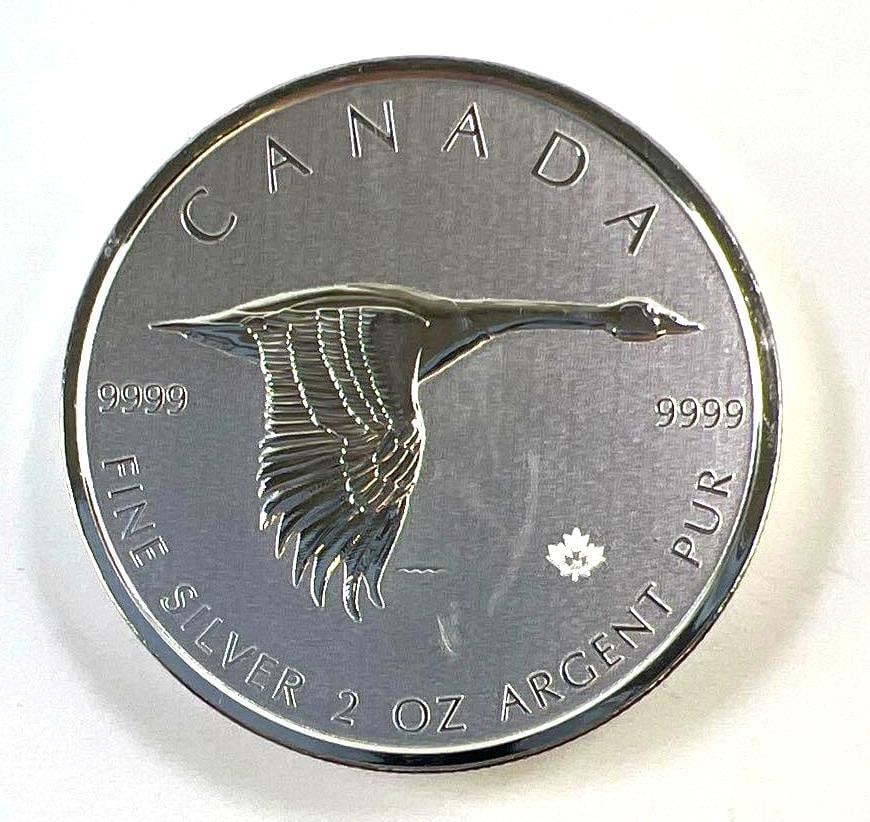 2020 Canada Flying Goose 2 oz .9999 Fine Silver $10 Coin (1 of 2)