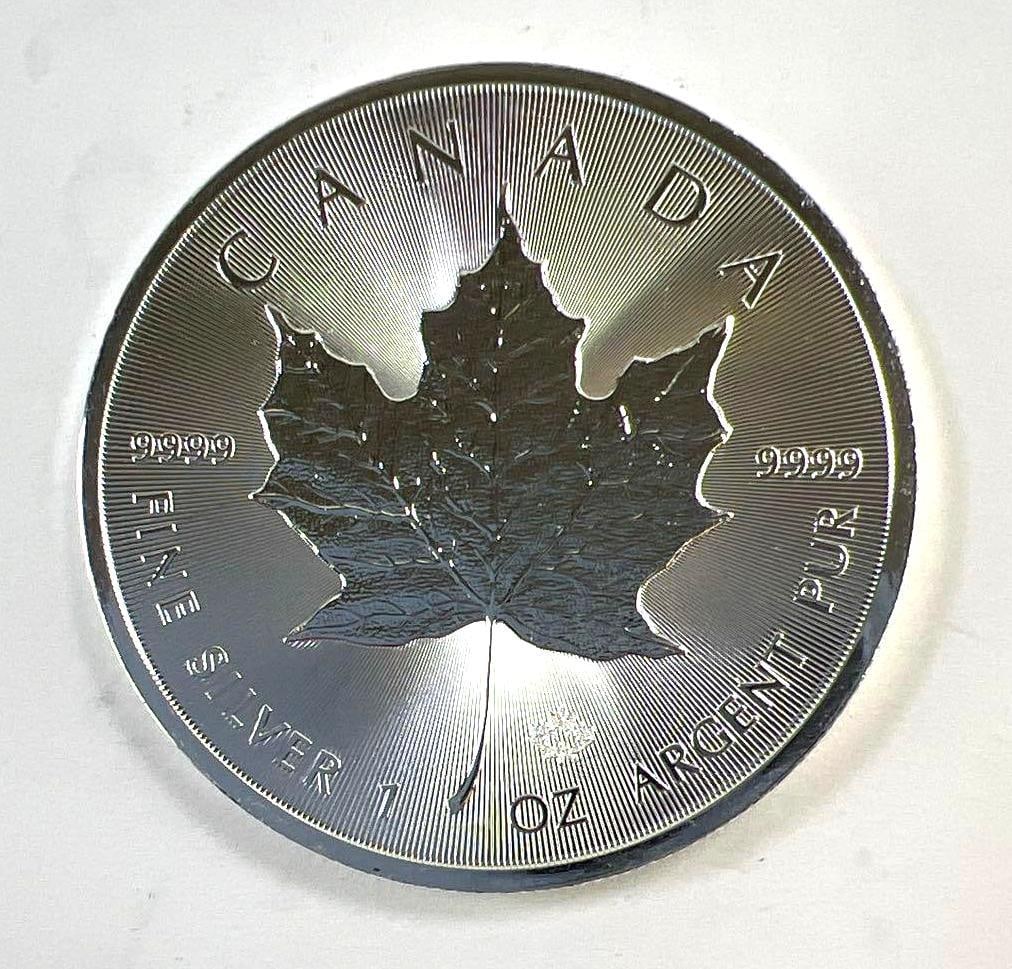 2020 Canada Maple Leaf 1 oz .9999 Fine Silver $5 Coin (1 of 2)