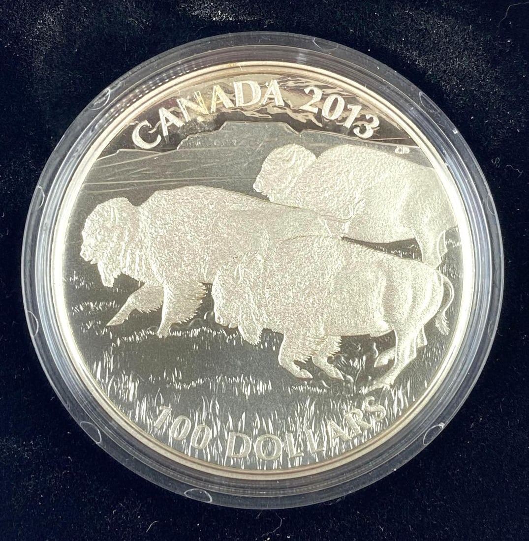 2013 Royal Canadian Mint Bison Stampede 1 Oz .9999 Fine Silver Queen Elizabeth Round (1 of 4)