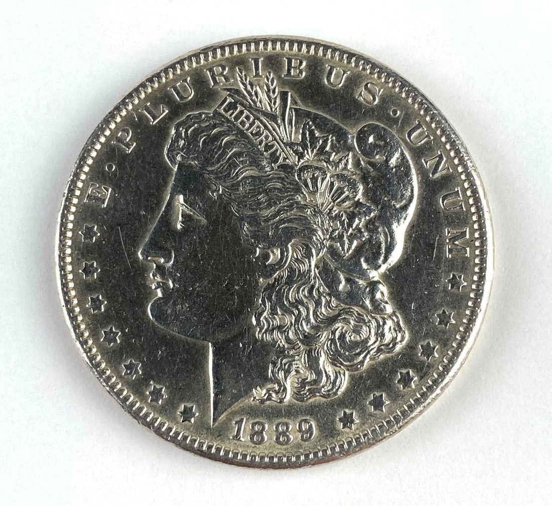 1889 US Morgan Silver Dollar (1 of 2)