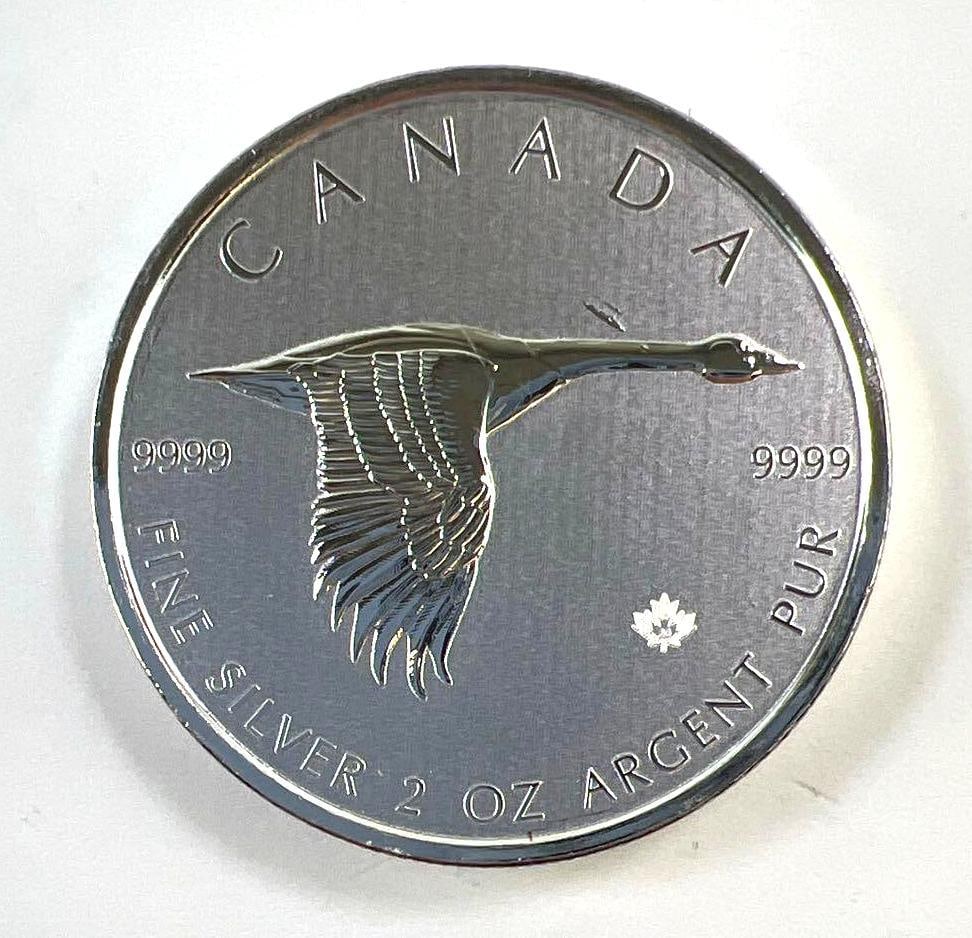2020 Canada Flying Goose 2 oz .9999 Fine Silver $10 Coin: 2020 Canada Flying Goose 2 oz .9999 Fine Silver $10 Coin