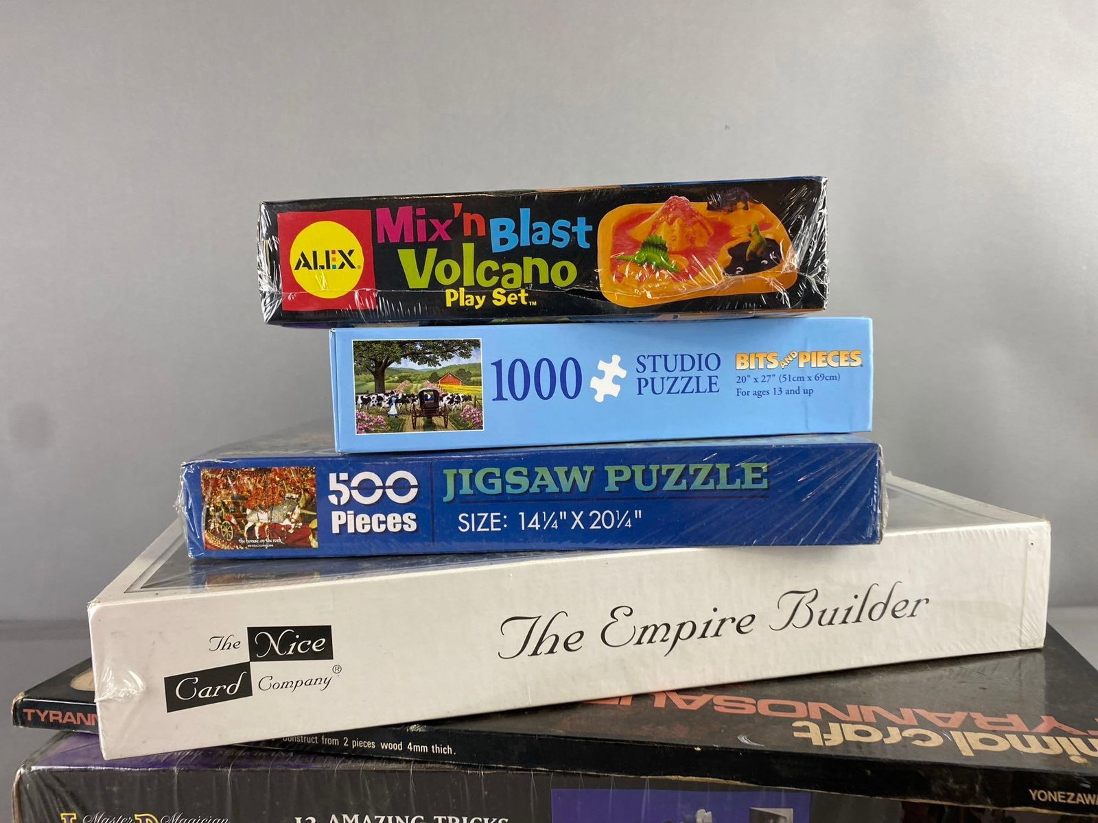Group of Assorted Puzzles and More - 3