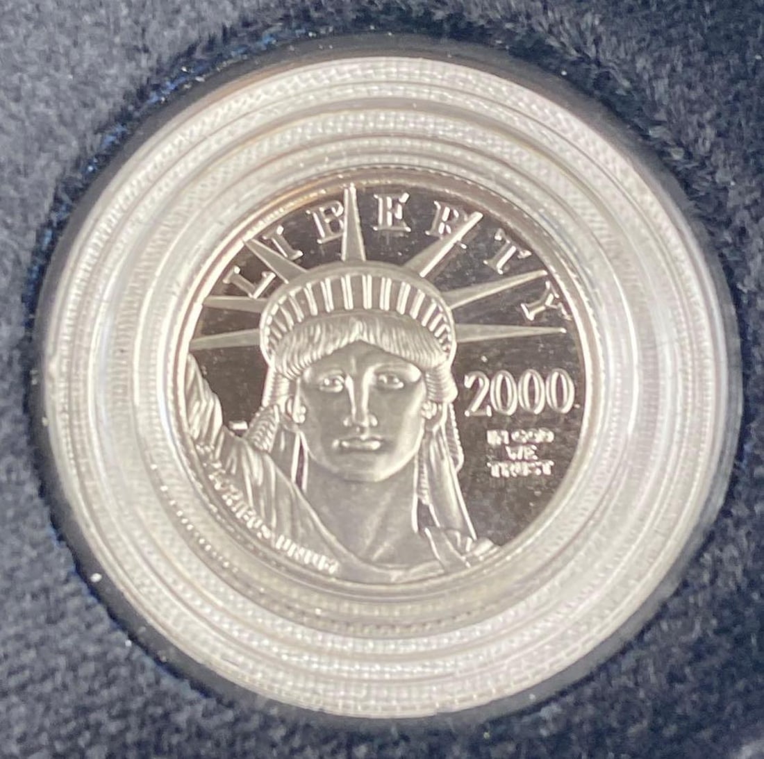 2000 United States Mint 1/10 Oz .999 Platinum Eagle Coin (1 of 5)