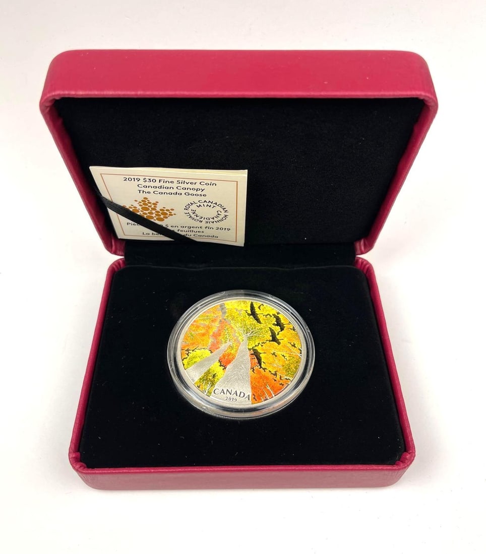 2019 Canada $30 Canadian Canopy The Canada Goose 2 oz .999 Fine Silver Proof Coin (1 of 4)