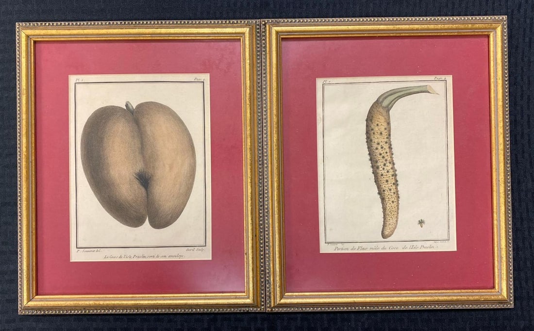 Group of 2 Antique 1776 Hand Colored Lithographs: one measures L 13 1/2 x W 11 1/2 inches.
