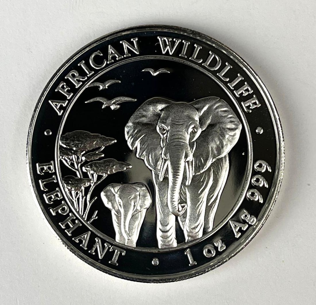 2015 Somali Republic 100 Shillings African Wildlife Elephant 1 oz 999 Silver Coin: 2015 Somali Republic 100 Shillings African Wildlife Elephant 1 oz 999 Silver Coin