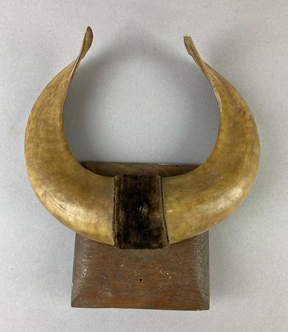 Vintage Buffalo Horn Wall Display: Measures 9x9 inches.