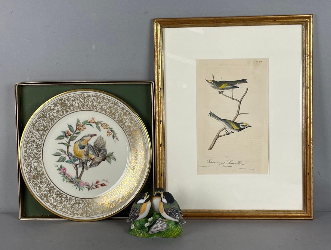 Ferrini Collection 1st Edition Golden-Winged Swamp Warbler Audubon Lithograph and More (1 of 4)