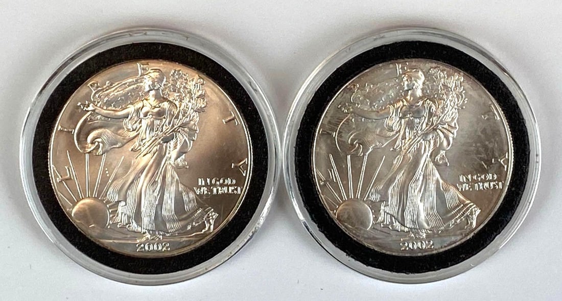 Group of 2 2002 US Silver Eagle Half Dollars (1 of 2)