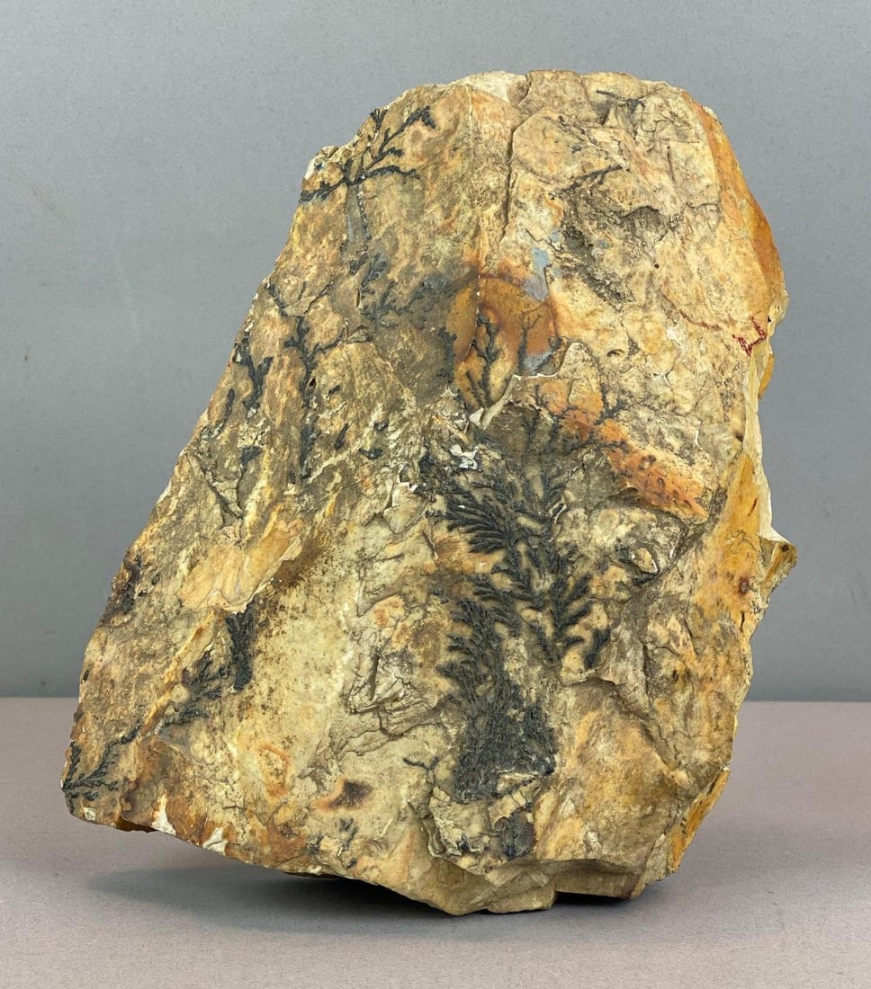 Yellow Feather Jasper Chunk: Measures 9 inches H x 8 inches W x 5 inches D