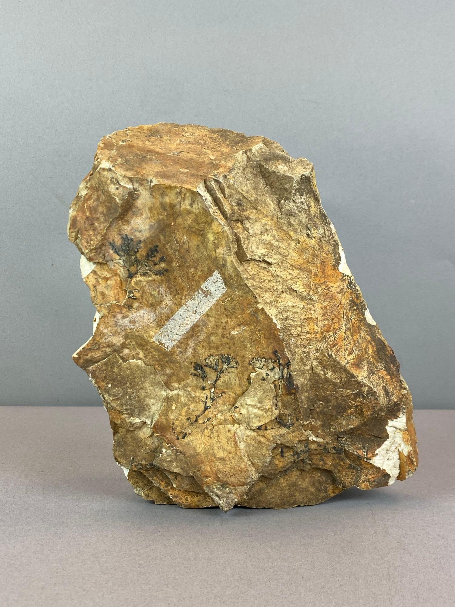 Yellow Feather Jasper Chunk - 3