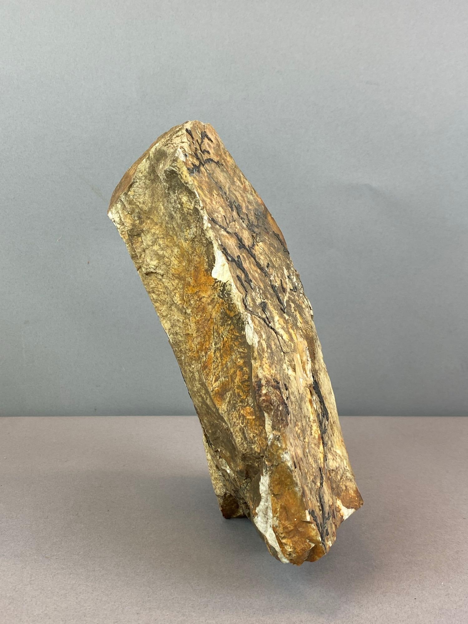 Yellow Feather Jasper Chunk - 4