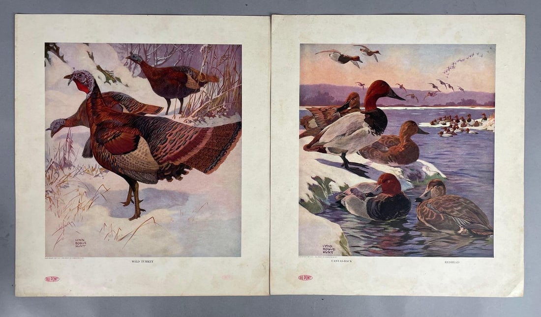 Group of 2 Antique DuPont Our American Game Birds Lithographs (1 of 3)
