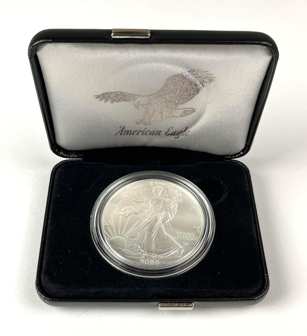 2024 US Mint American Silver Eagle 1 oz Fine Silver UNC Proof Coin (1 of 5)