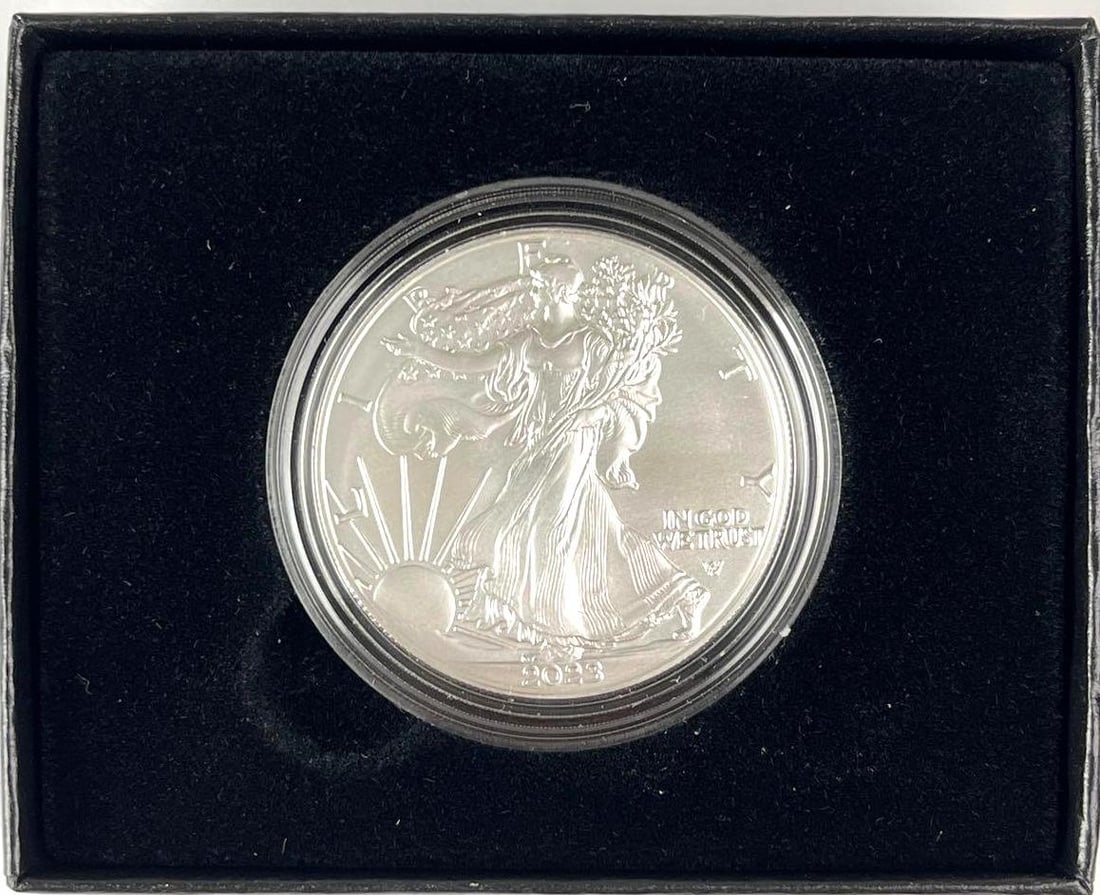 2023 US Mint American Silver Eagle 1 oz Fine Silver UNC Proof Coin (1 of 4)