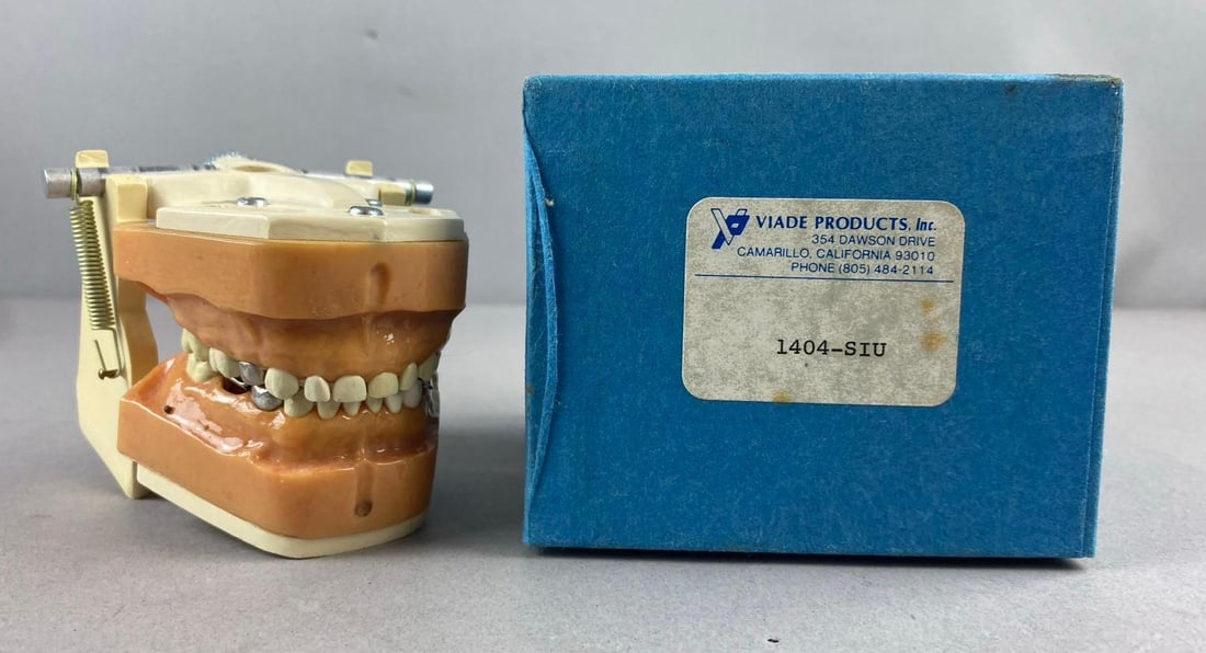 Vintage Viade Products Dental Articulating Jaw Model: Like new in original packaging. Packaging measures H 3 1/2 x W 4 1/2 x L 5 inches.