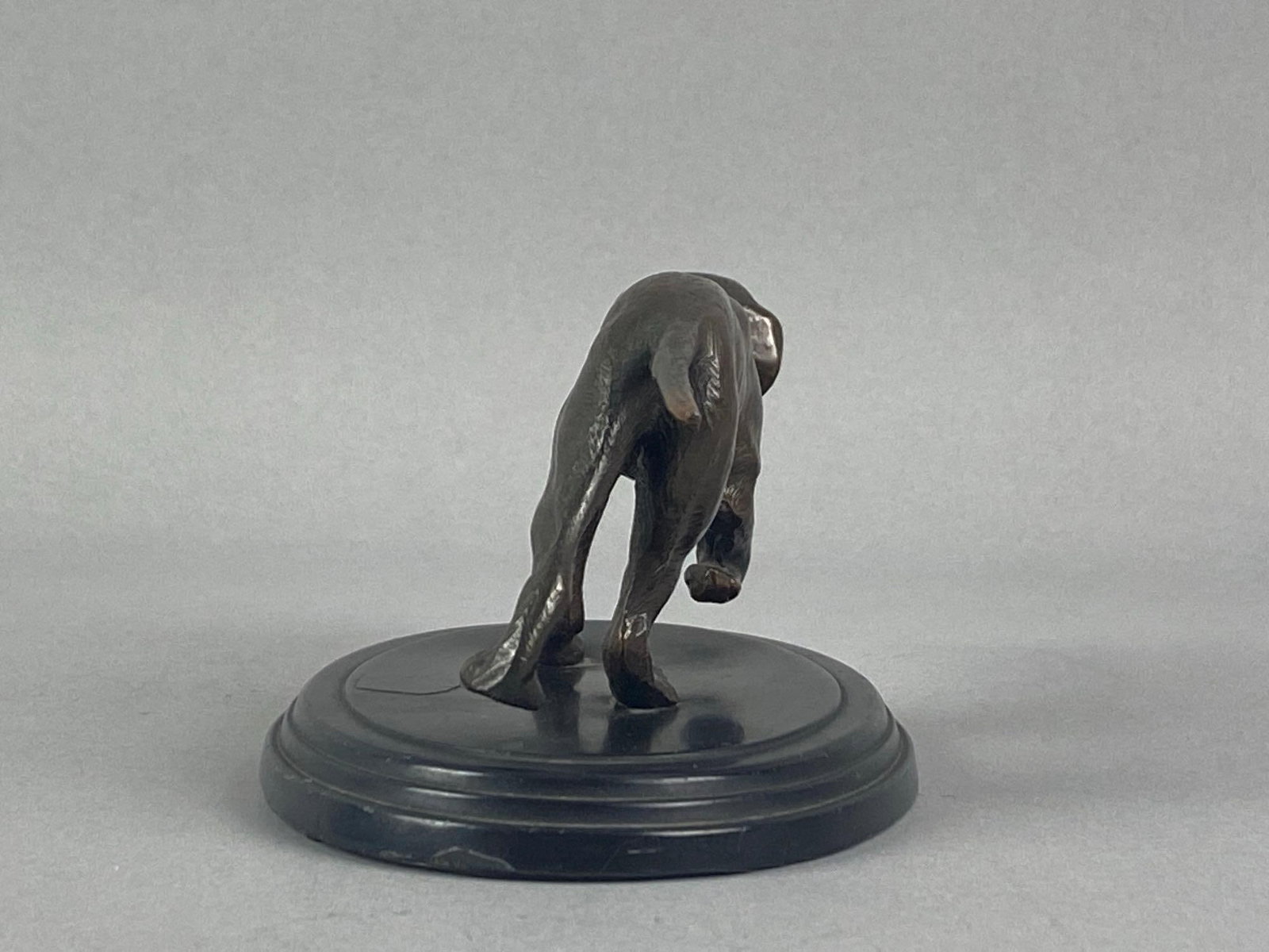 Antique Pointer Dog Bronze Figurine - 2