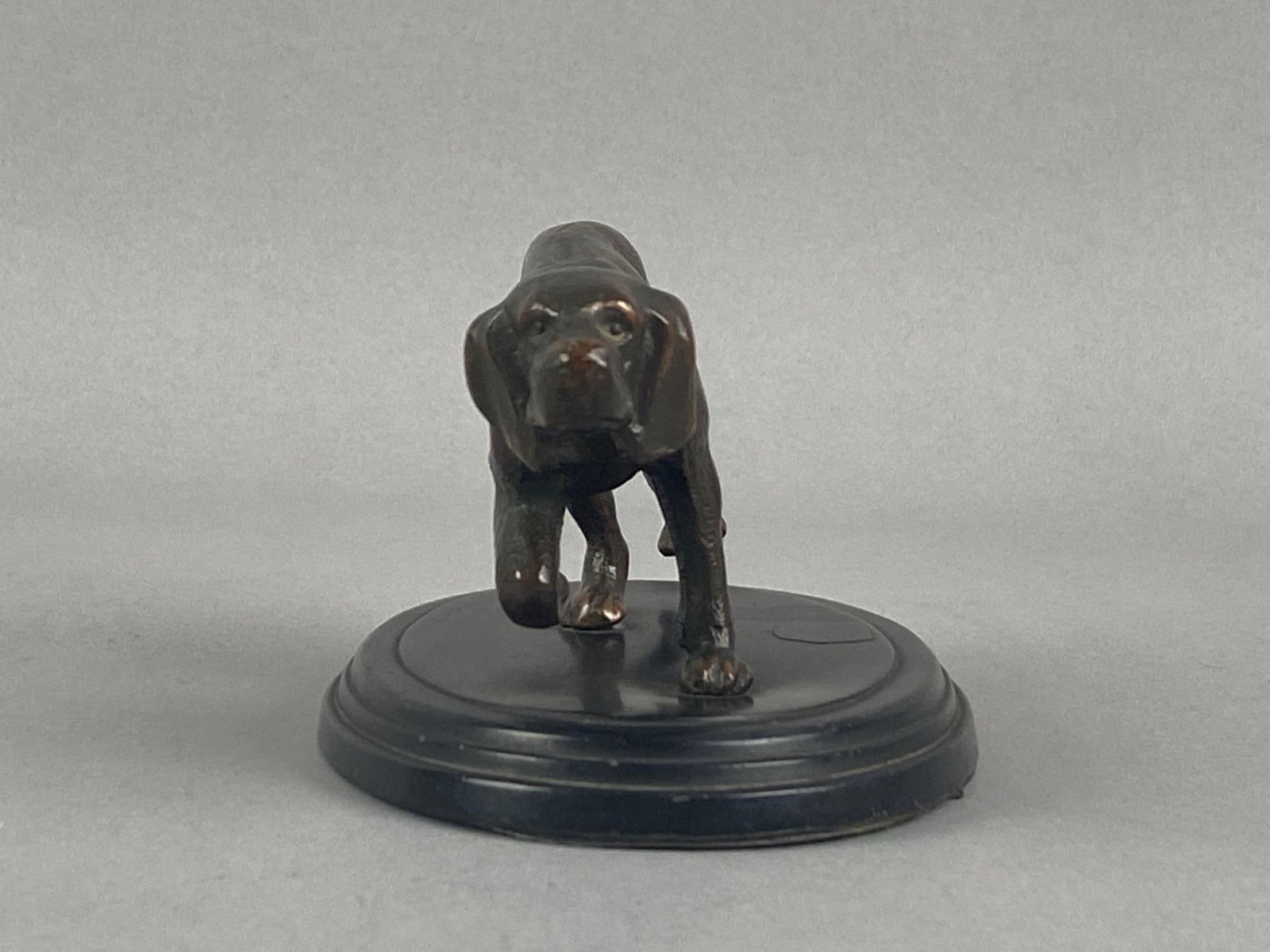 Antique Pointer Dog Bronze Figurine - 3