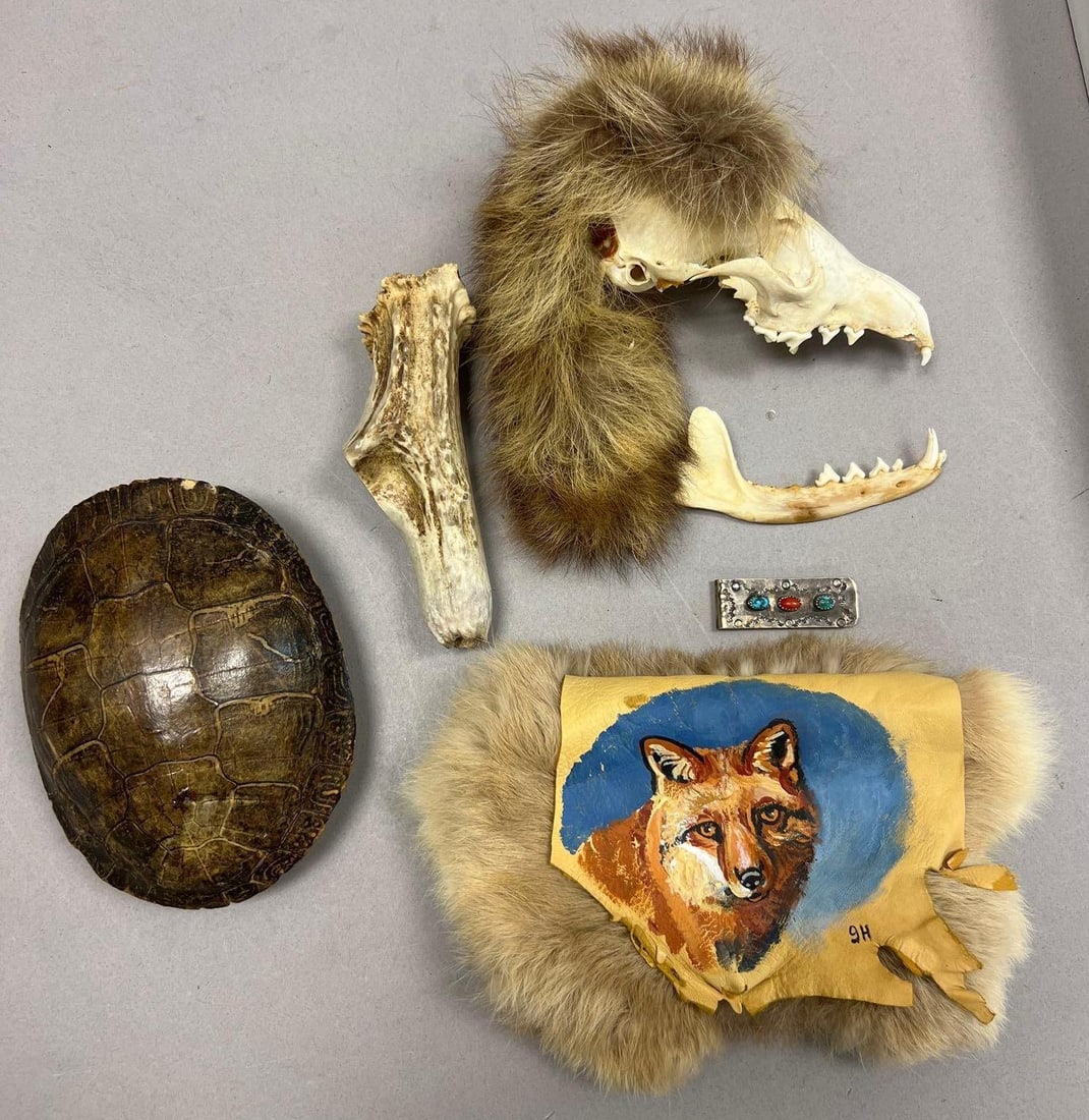 Natural History Collection Featuring Raccoon Skull, Turtle Shell, Antler, Fur Hide and Sterling (1 of 3)