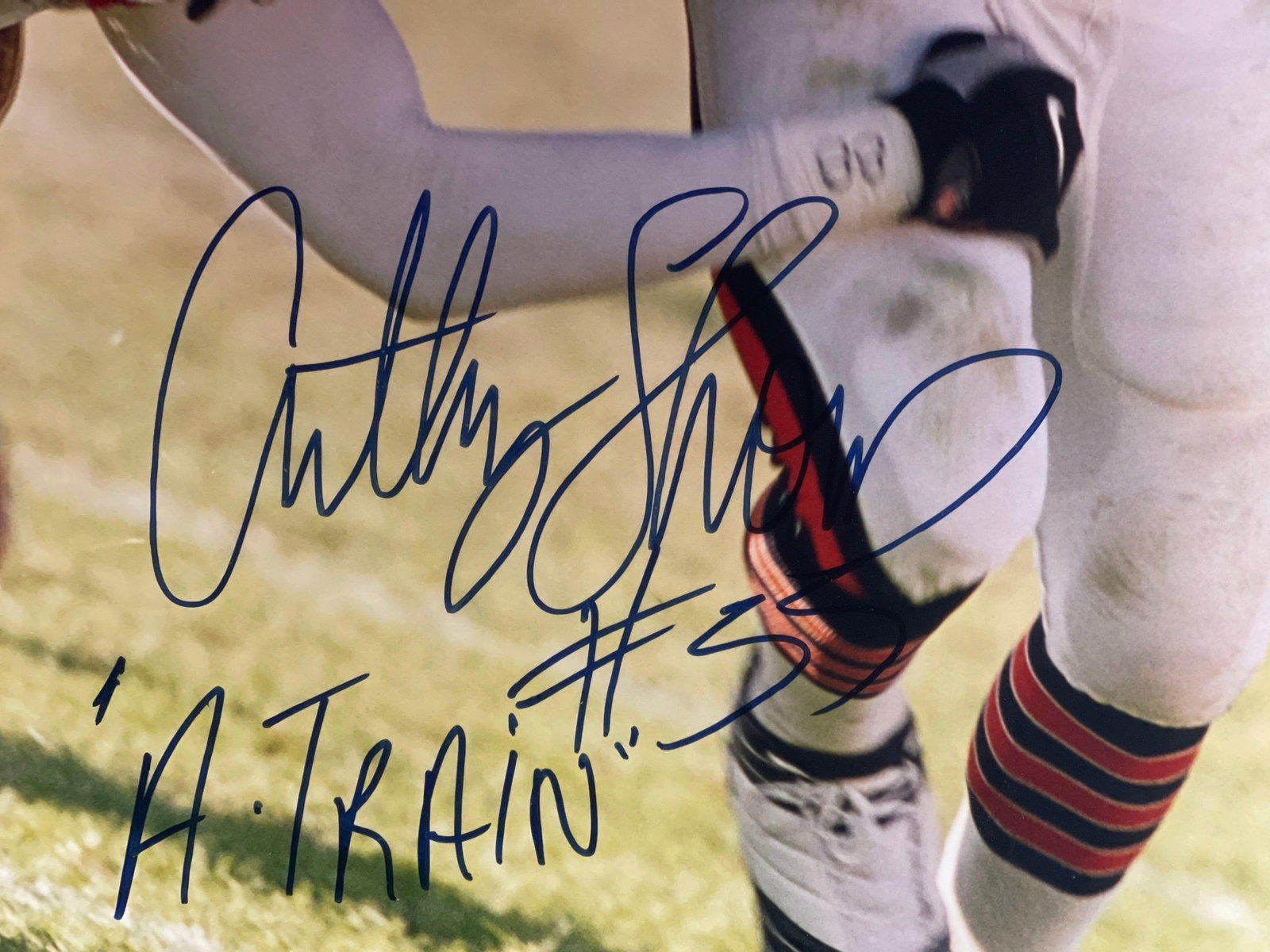Chicago Bears Anthony Thomas Signed 16x20 - 2