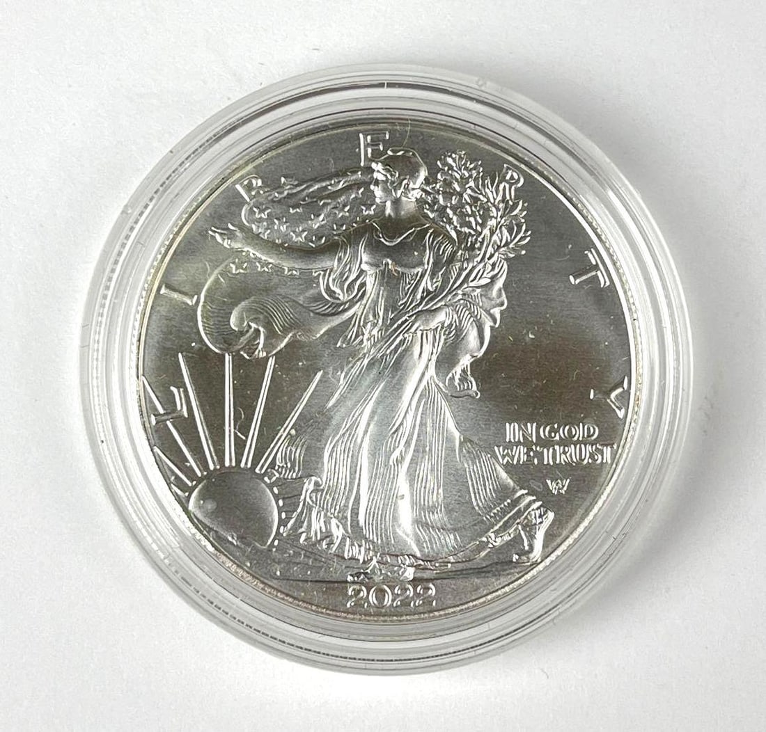 2022 US $1 American Silver Eagle 1 oz Fine Silver Coin: 2022 US $1 American Silver Eagle 1 oz Fine Silver Coin